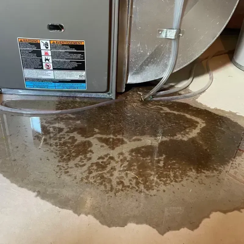 Appliance Leak Cleanup in Danbury, TX